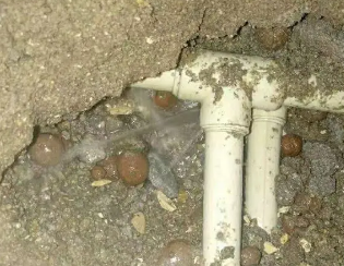 天峻卫生间测漏